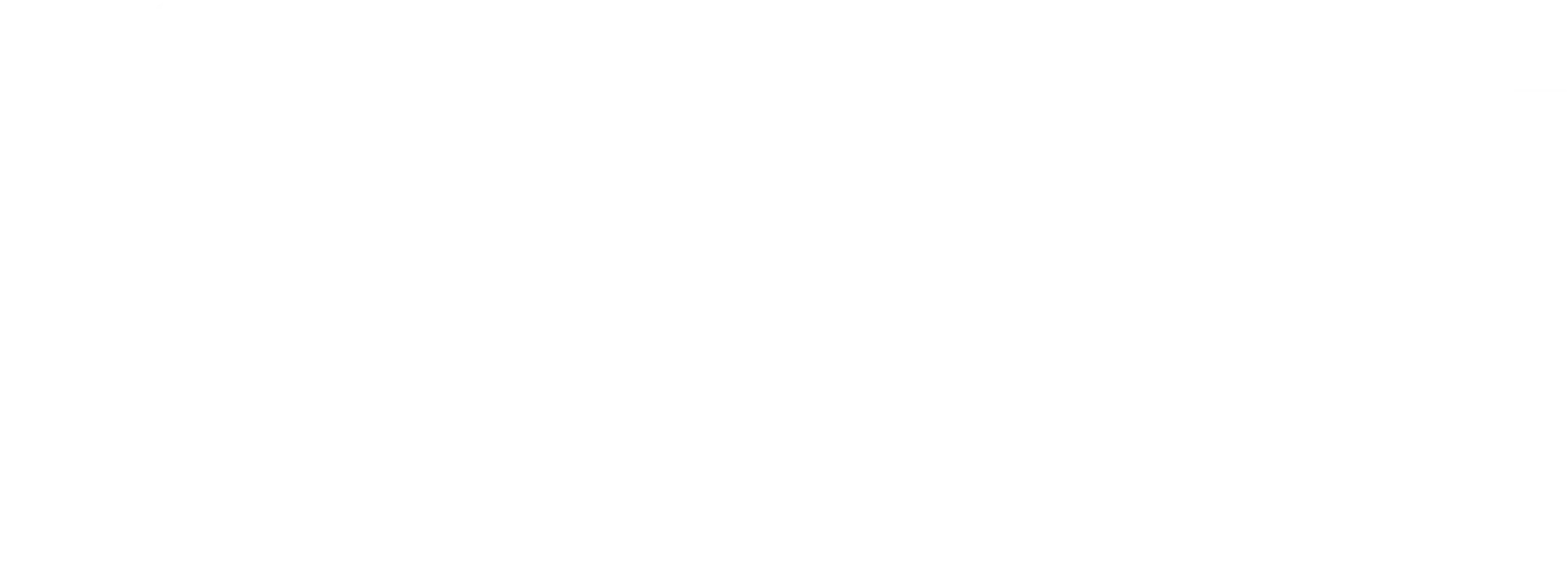 mast-logo-white-modifier-2x